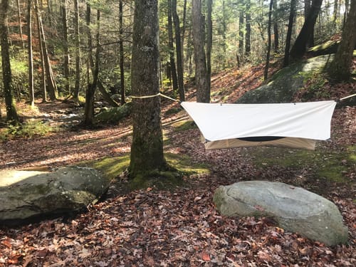 Customer photo review of Haven Safari