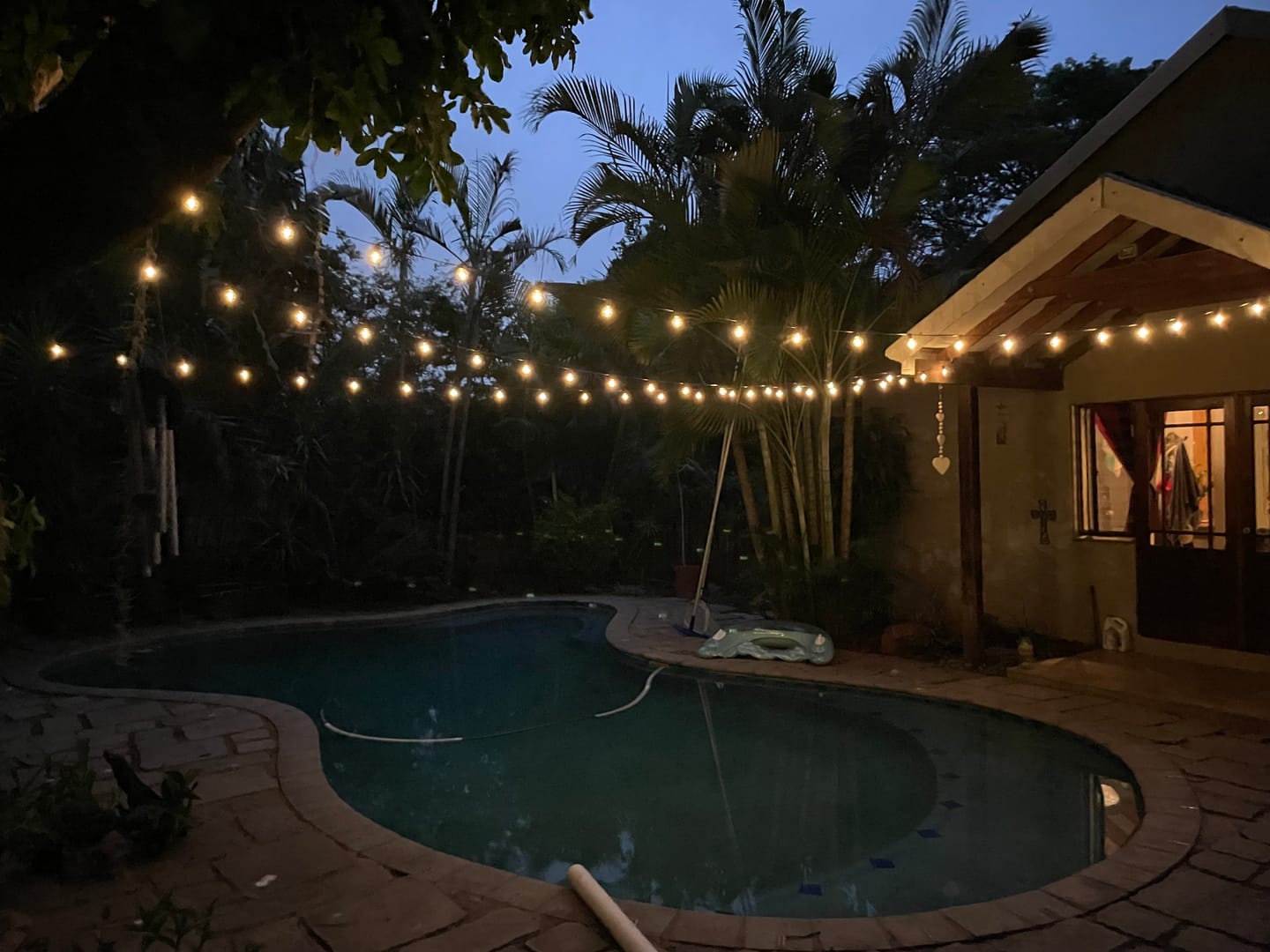 Customer photo review of Solar Mini Bulb String Lights - Black