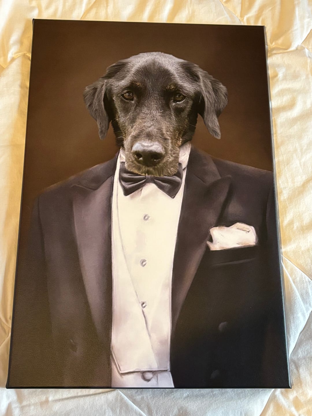 Customer photo review of Portrait Chien Gentleman