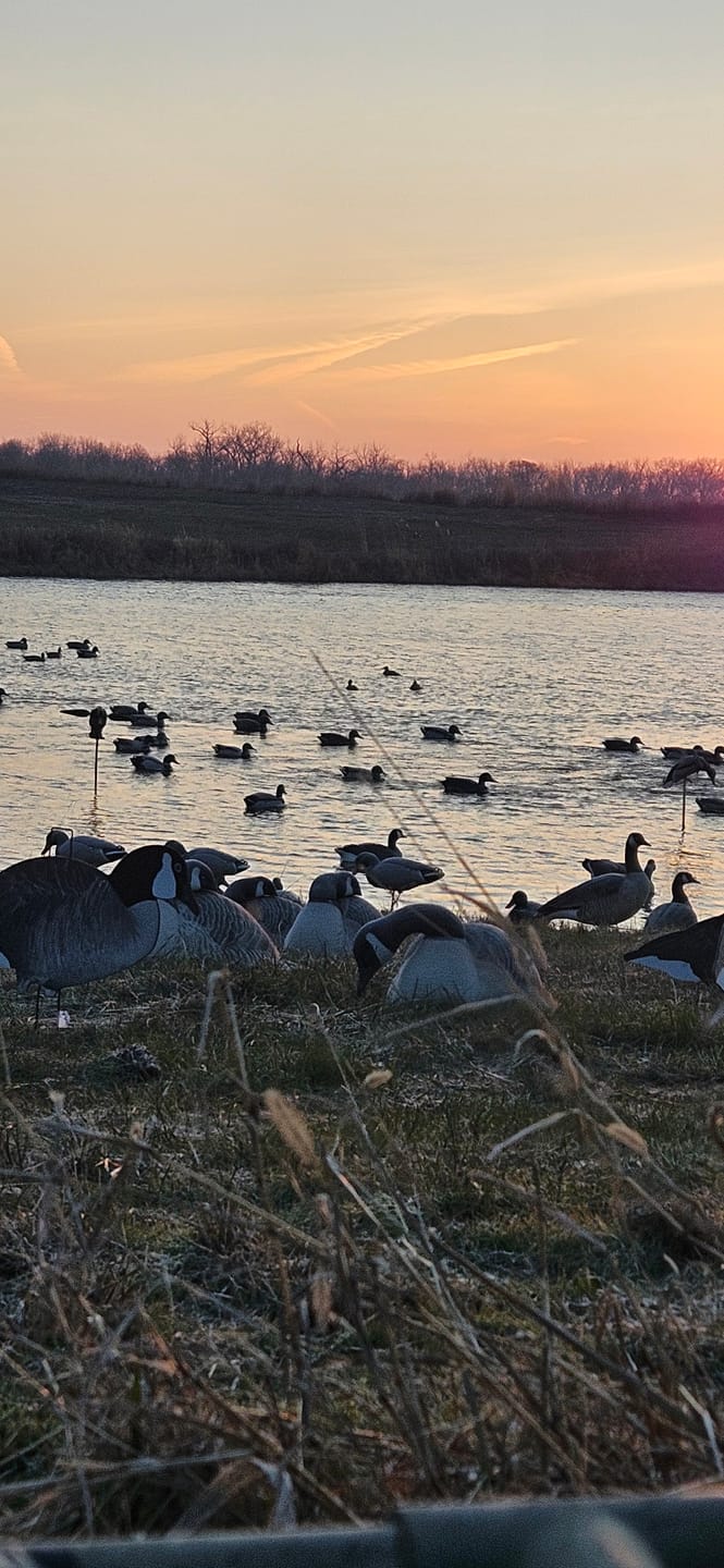Customer photo review of TideWe Women’s Lightweight Heated Vest with Battery Pack for Hunting/Hiking