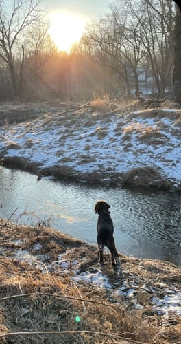 Customer photo review of Toasty Touch® Ultra Thin Heated Gloves