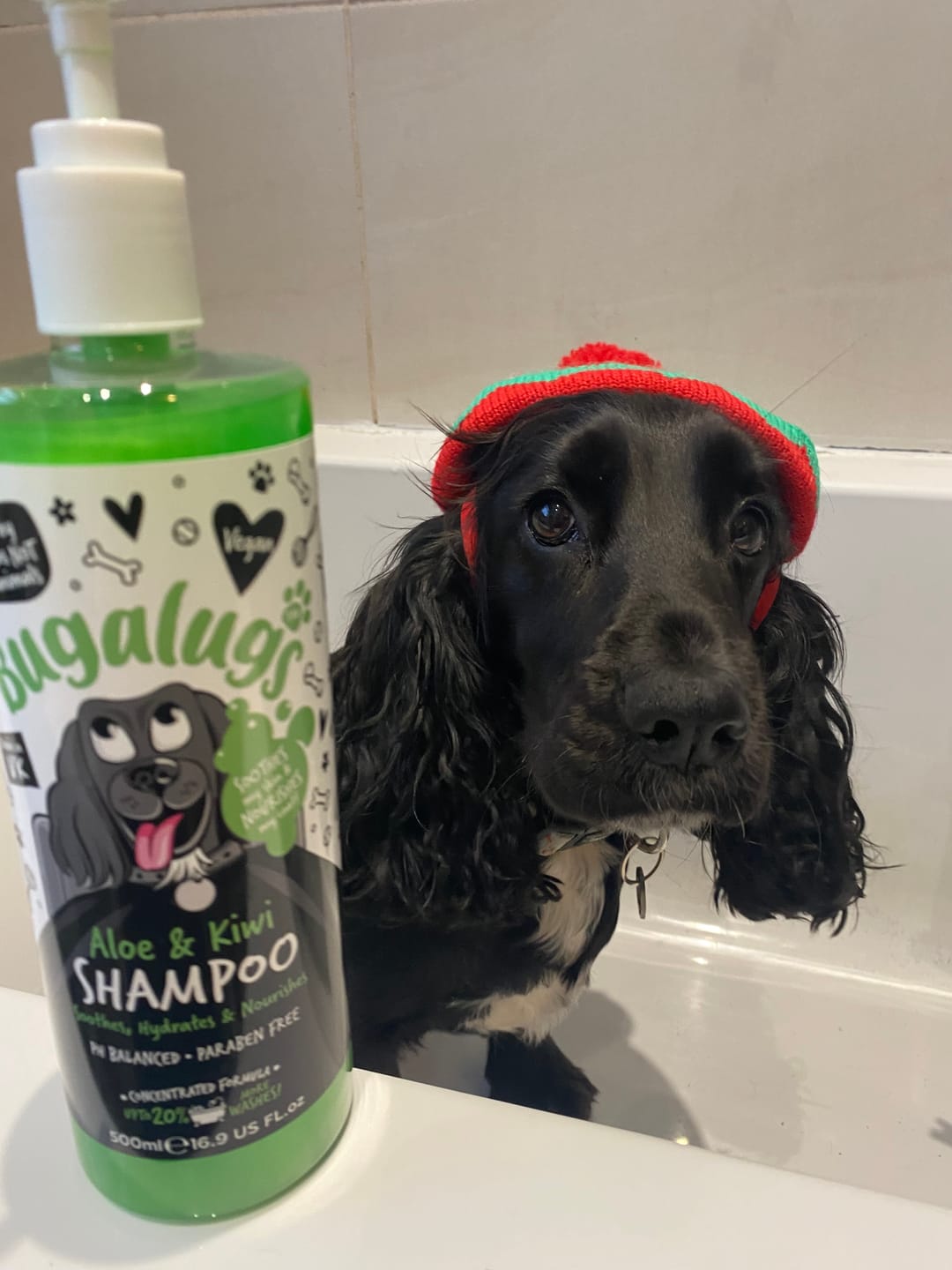 Customer photo review of Aloe & Kiwi Soothing Dog Shampoo