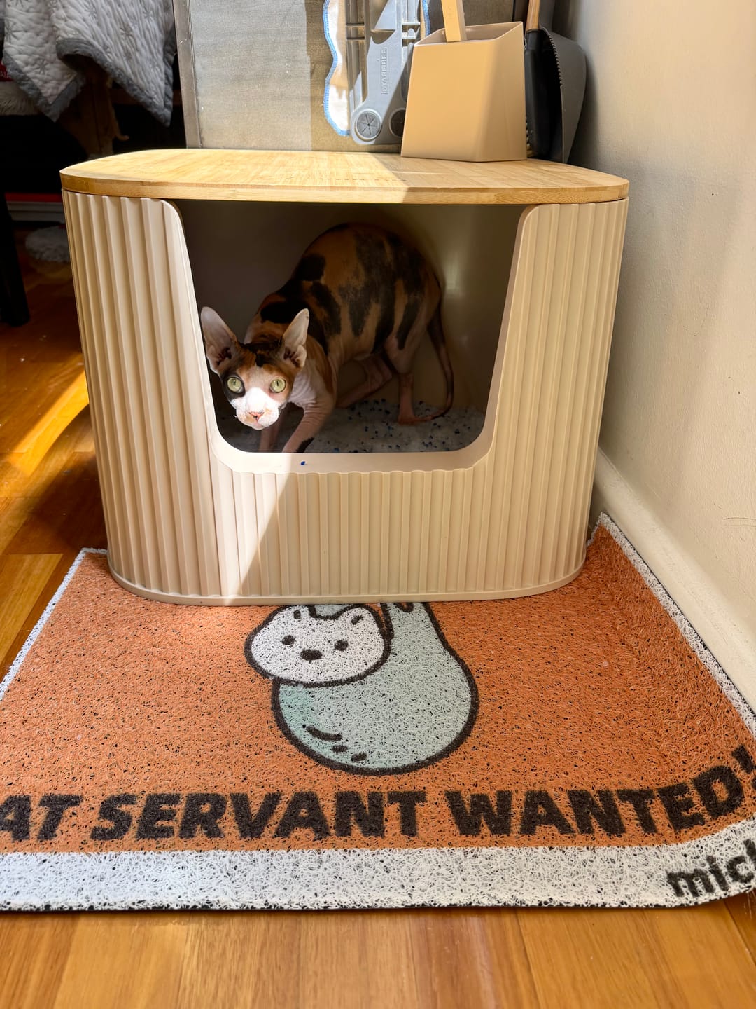 Customer photo review of Michu XXL BoBa Deluxe Cat Litter Box - Spacious Design