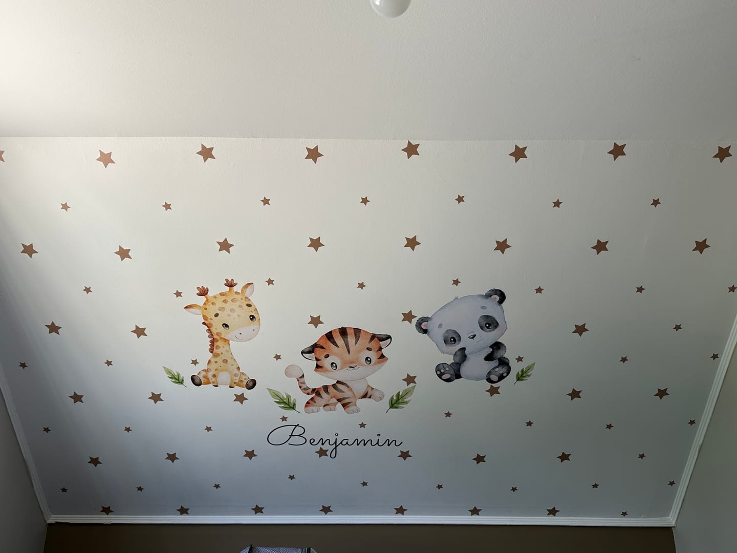 Customer photo review of Tigre, jirafa y panda