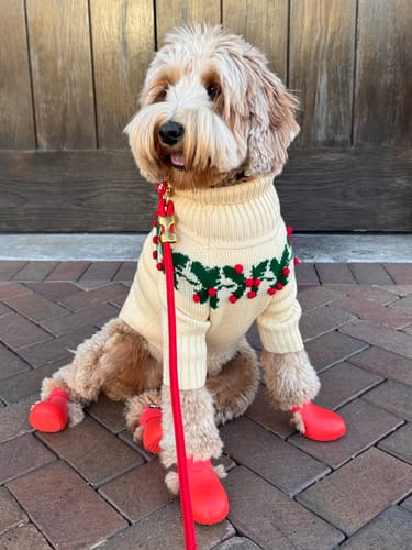 Customer photo review of WagWellies® by wagwear