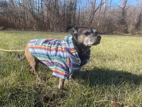 Customer photo review of Playa Poncho - Surprise Color