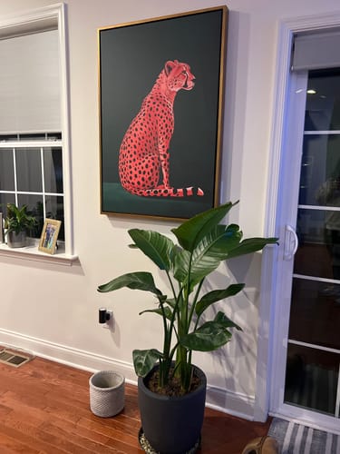 Customer photo review of Pink Cheetah Print