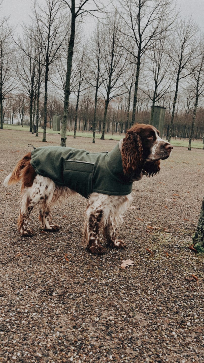 Customer photo review of CLOUD7 Hundemantel Brooklyn Flanell Fern Green