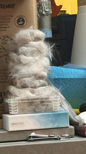 Customer photo review of GroomPro™ - The #1 Pet Shedding Solution