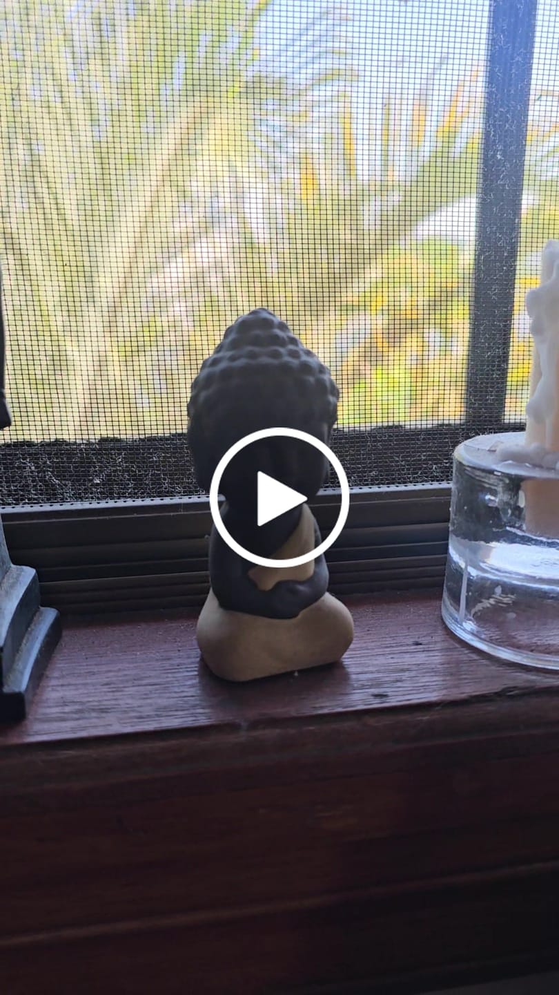 Customer video review of Mindful Subscription Box 11