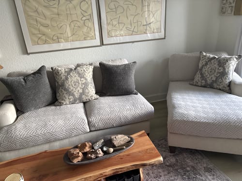 Customer photo review of Dog Couch Cushion Covers (Pet Fur, Scratching, Allergens, Accidents)