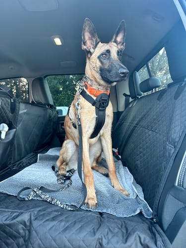 Customer photo review of NEW Waterproof Hard Bottom Car & Truck Seat Foldable Hammock Cover With Storage Pockets, Side Flaps, Headrest Straps, Seat Anchors, & Mesh Window (+FREE SAFETY BELT!)