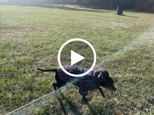 Customer video review of Playa Poncho - Surprise Color