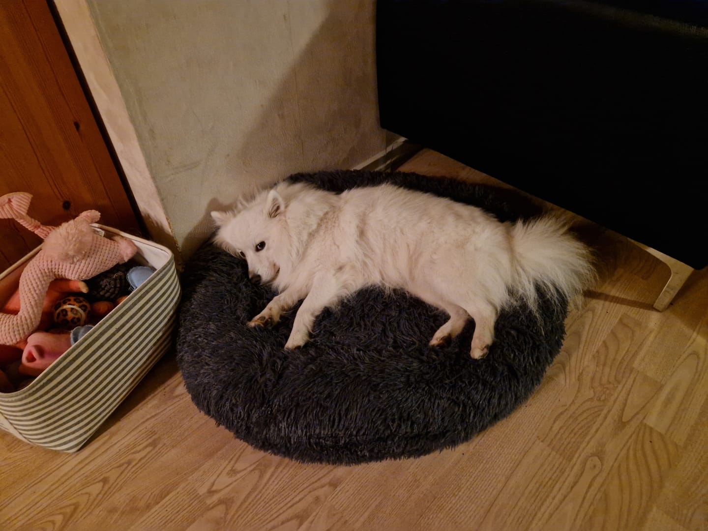 Customer photo review of THE ORIGINAL - Donut hundeseng (graphite)