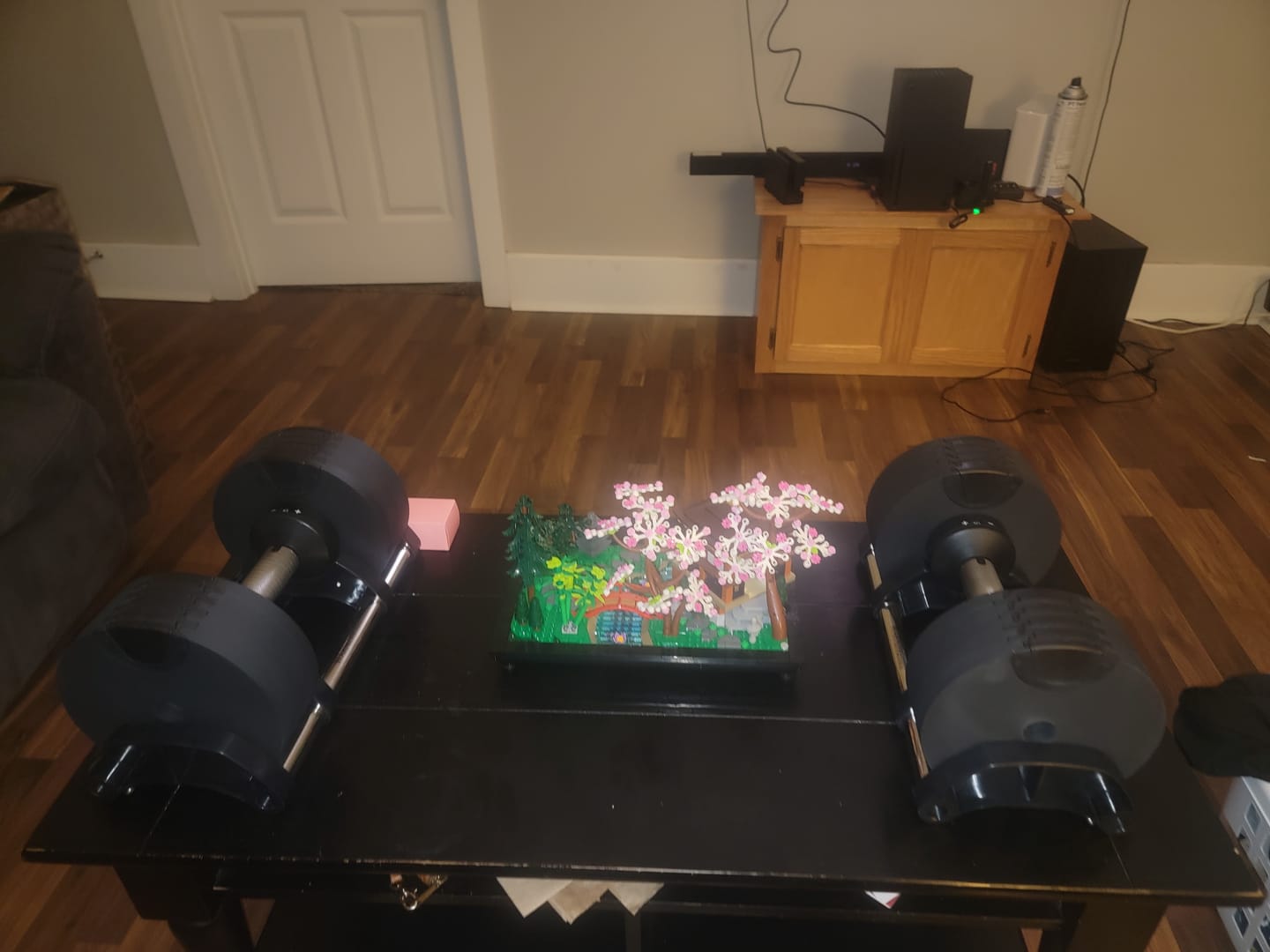 Customer photo review of MB PRO Adjustable Dumbbell 50lb