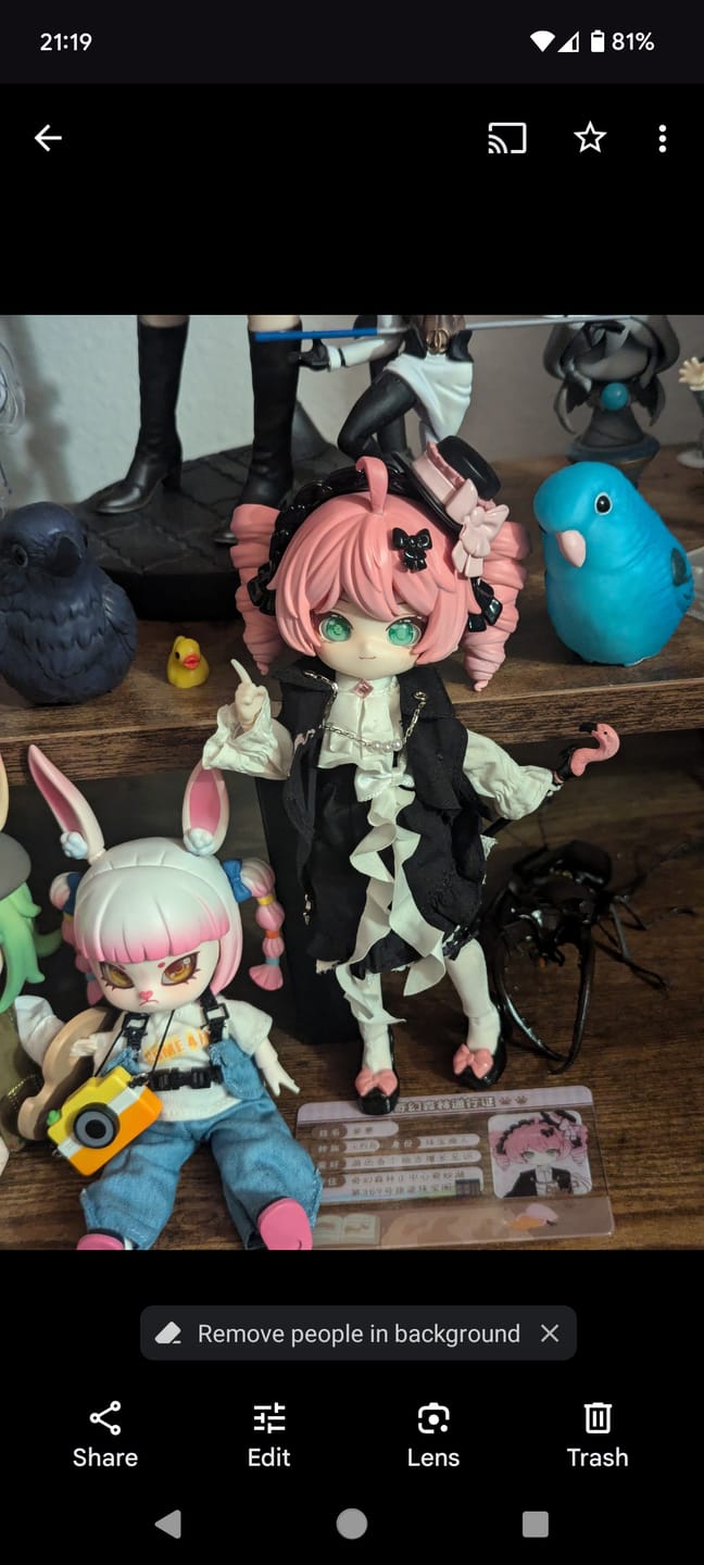 Customer photo review of Minty Series Flamingo Rossi Limited Action Figure