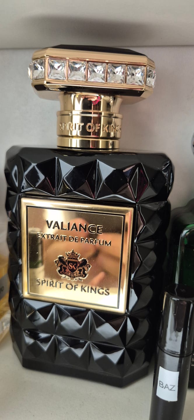 Customer photo review of THE SPIRIT OF KINGS - VALIANCE