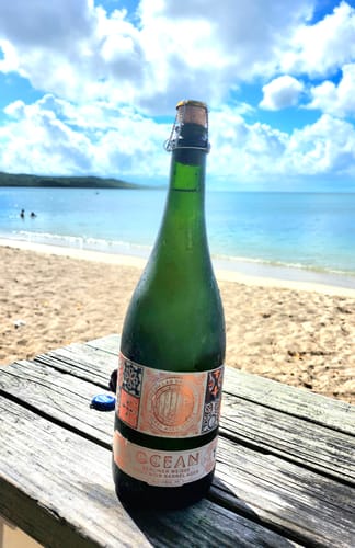 Customer photo review of PRE-SALE Berliner Weisse Pinot Noir Barrel Aged