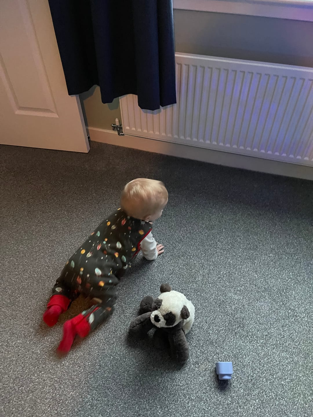 Customer photo review of Outer Space Everyday Dungarees