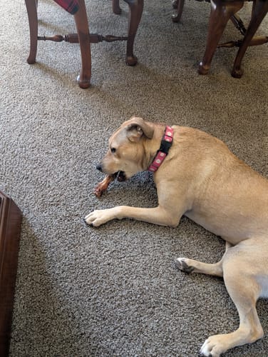 Customer photo review of Mystery Gift