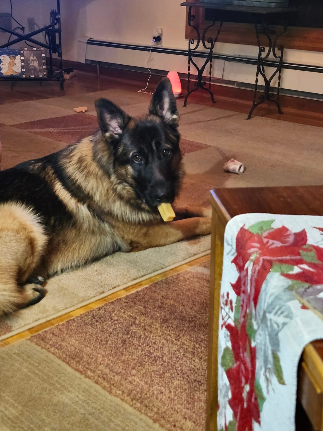Customer photo review of Himalayan Yak Chew (LARGE)