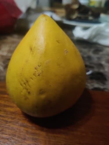 Customer photo review of Tropical Variety Box