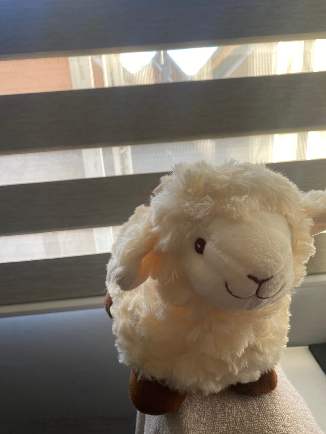 Customer photo review of Peluche Oveja Felpa Kawaii Con Sonido 23 Cm