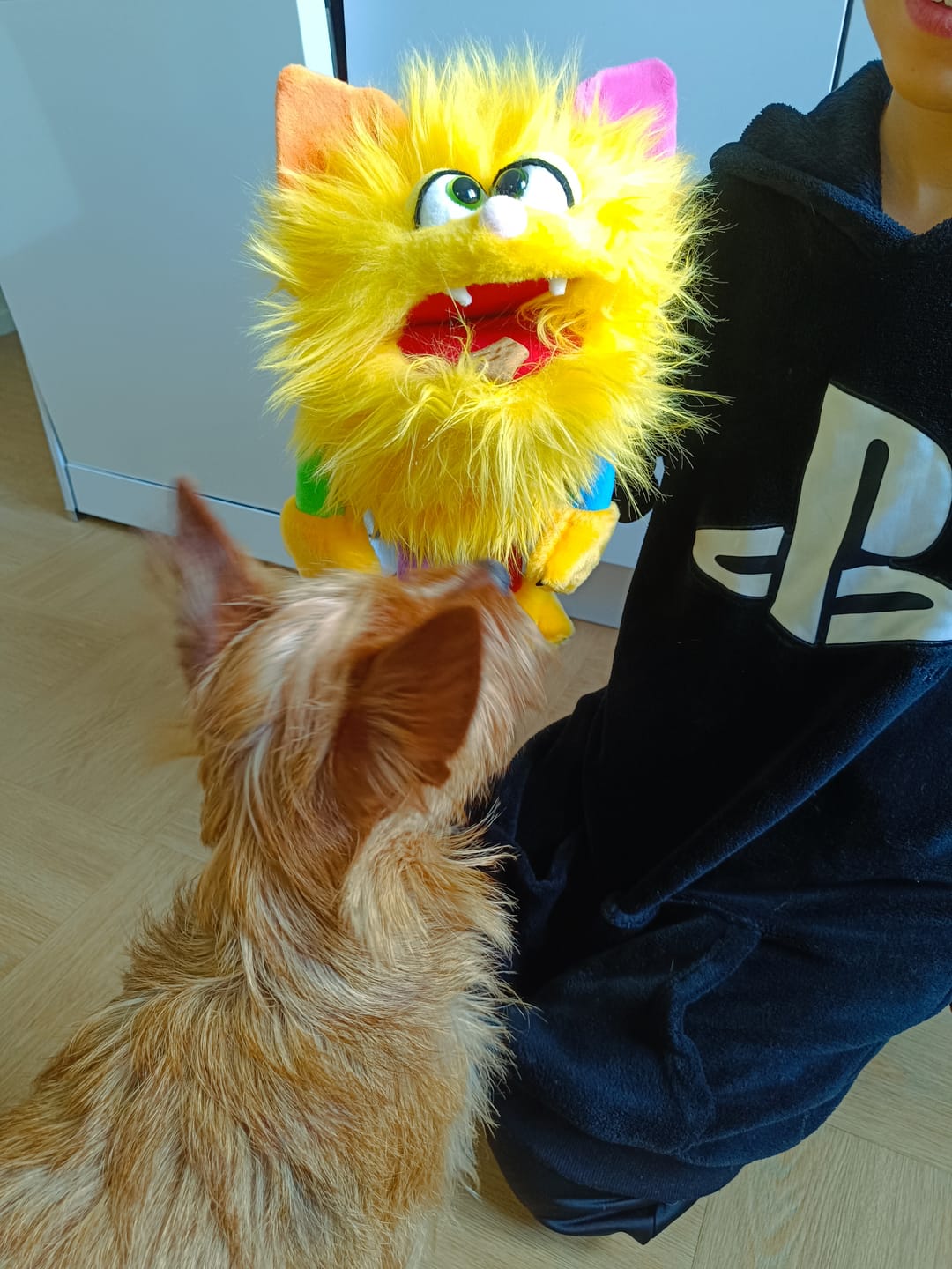 Customer photo review of Marionnette Chamicki Monstre Jaune