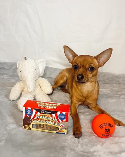 Customer photo review of Fetch & Glow Balls