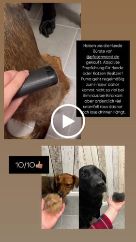 Customer video review of Fellwunder Bürste  - Der Bestseller