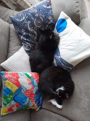 Customer photo review of Housse de Coussin Style Japonais - Mer Calme