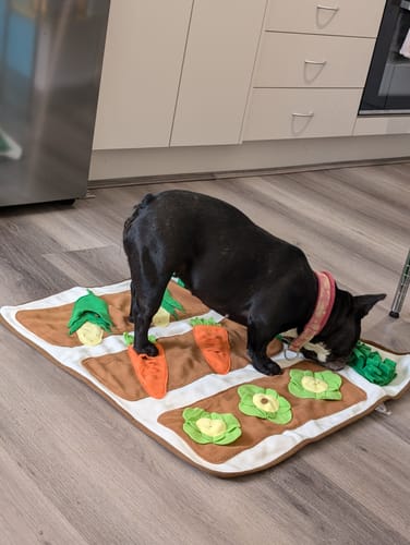 Customer photo review of Veggie Garden Large Dog Snuffle Mat Puzzle Training Toy