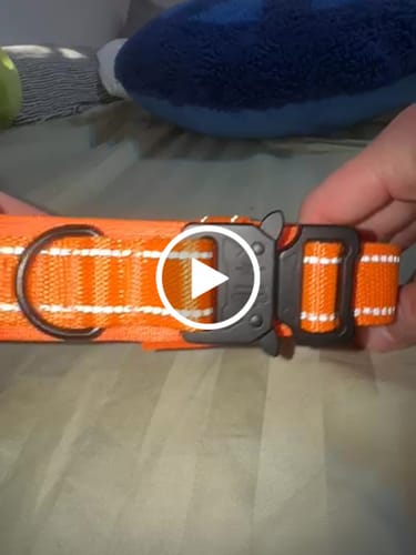 Customer video review of Metal-Buckle Tactical K9 Dog Collar With Hook & Loop Panel & Top Handle