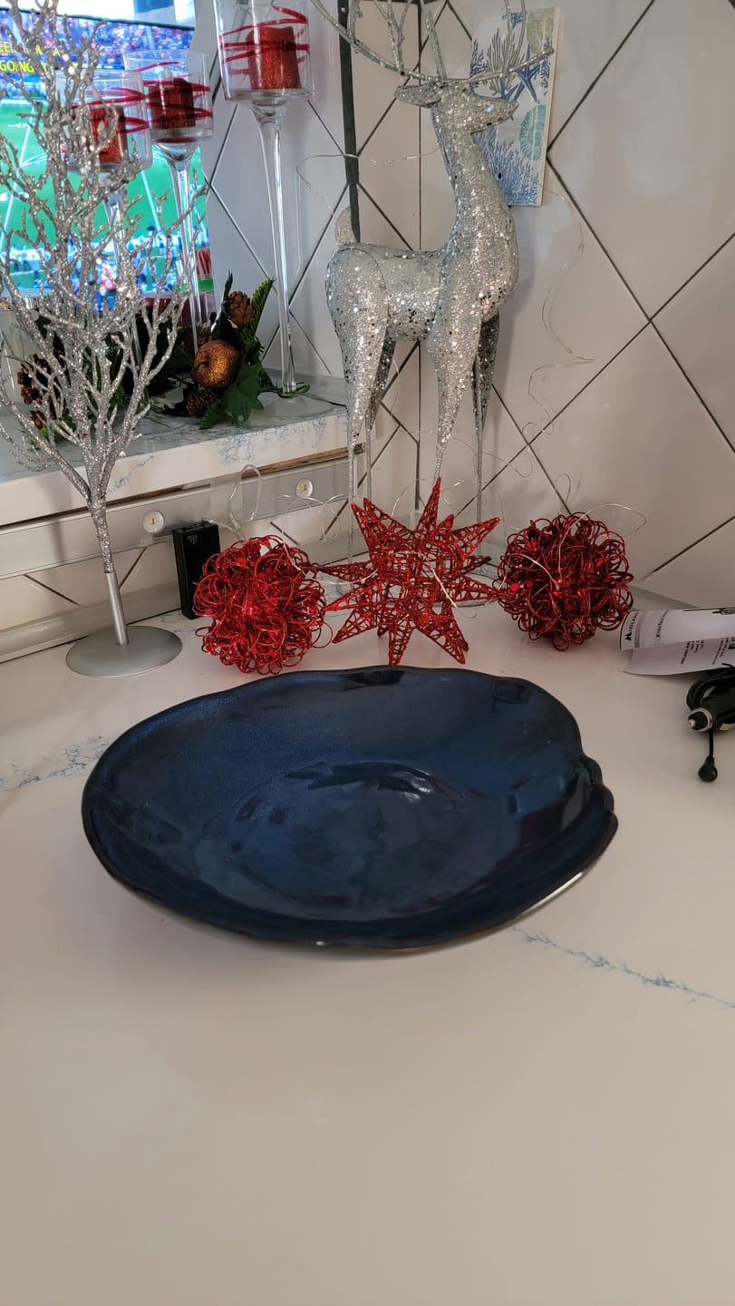 Customer photo review of 4-Piece Stoneware Deep Plate Set in Ocean Blue