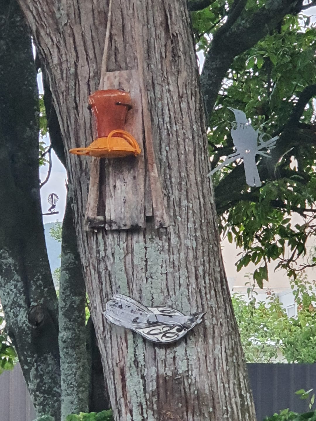 Customer photo review of Tūī