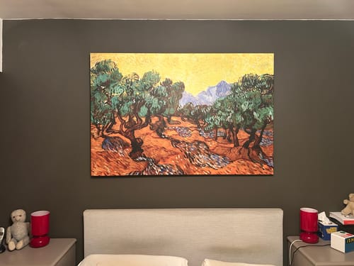 Customer photo review of ASSICURAZIONE PACCO