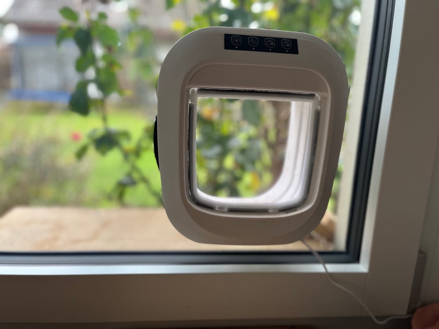 Customer photo review of Flappie