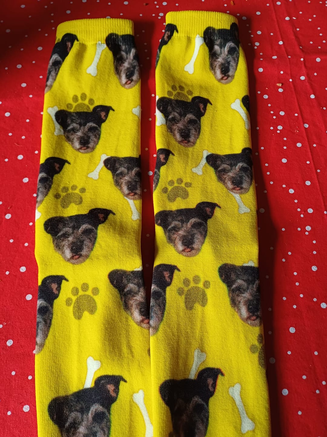 Customer photo review of FaceSock | Custom Dog Socks With Photo
