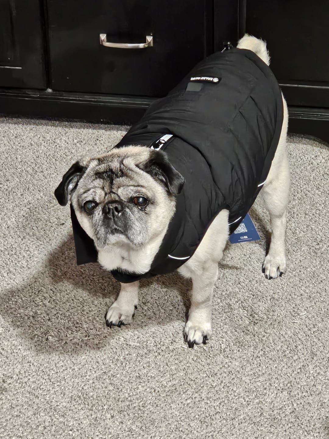 Customer photo review of WarmShield Water-Resistant Jacket - Black