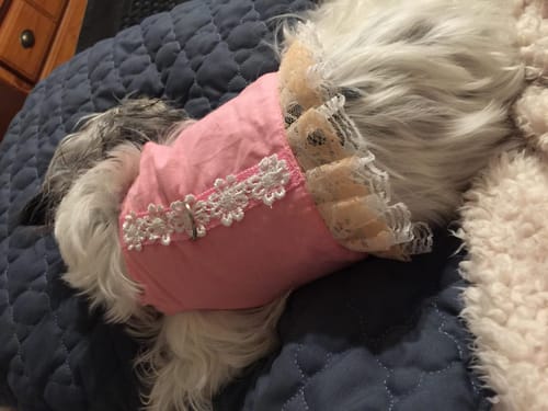 Customer photo review of Empower Duo