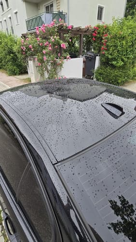 Customer photo review of Limlex® HydroShield-X Coating Spray