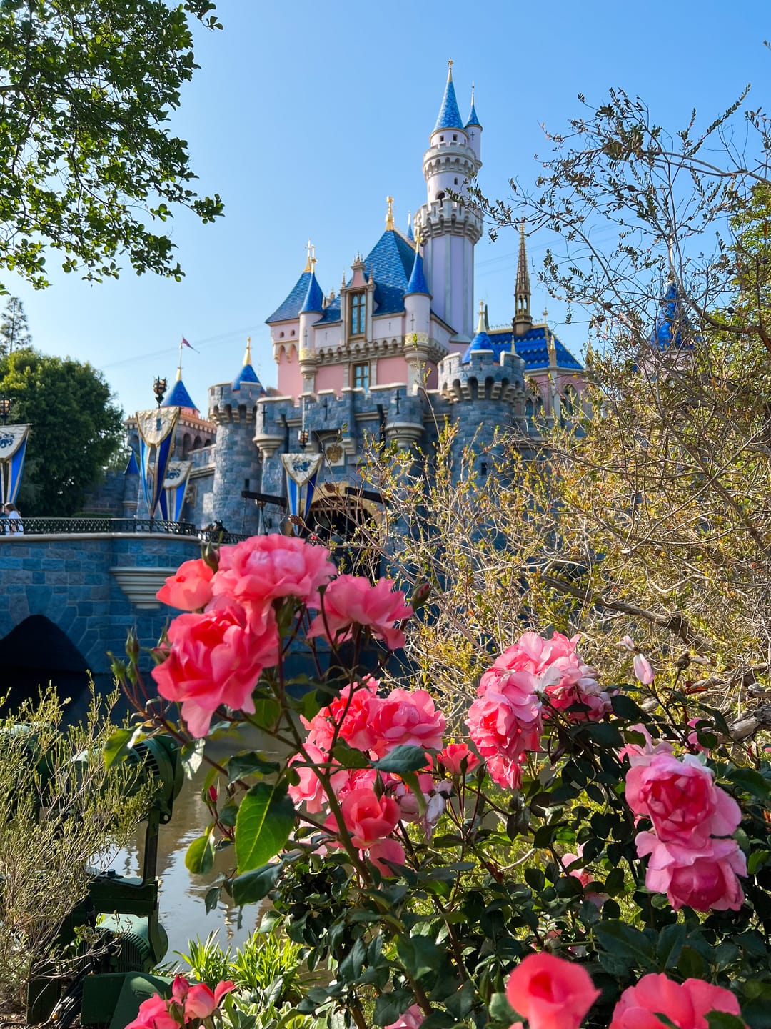 Customer photo review of Enchanted Preset Collection