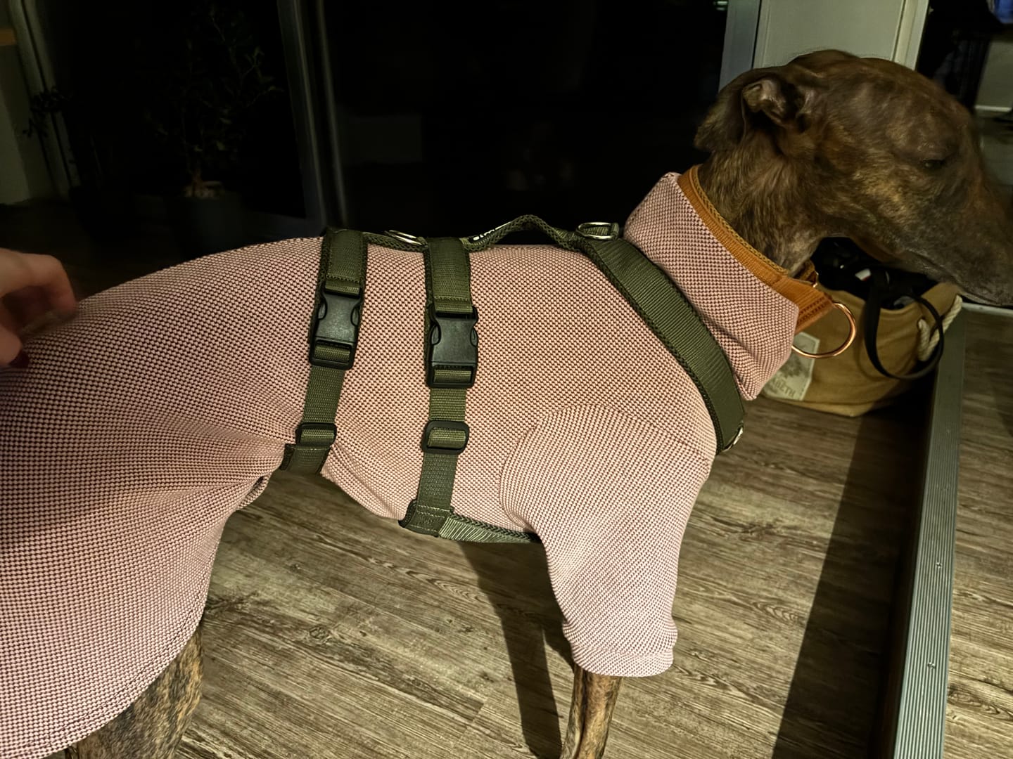 Customer photo review of Sicherheitsgeschirr FUN "Mountain Green"