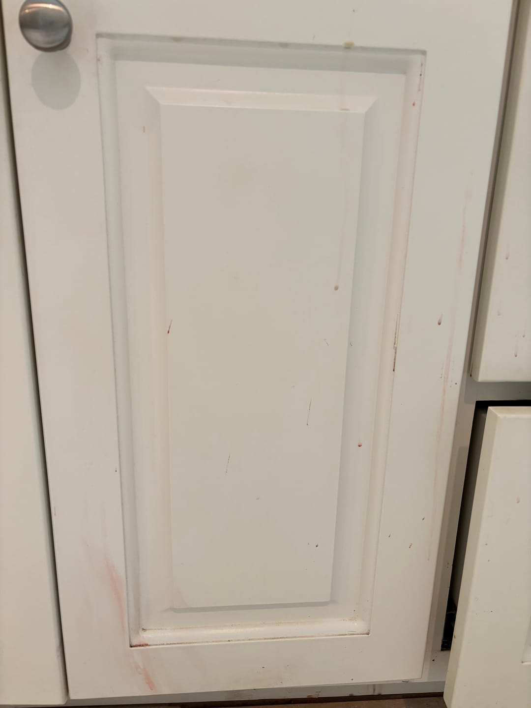 Customer photo review of Multi-Surface Concentrate 4x