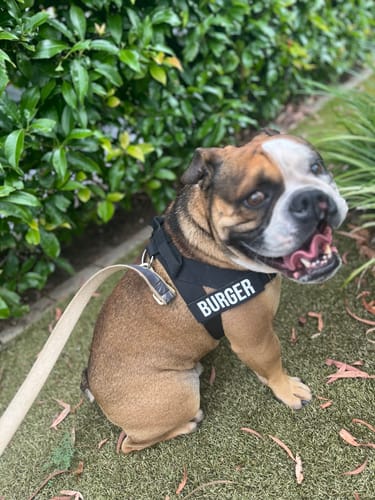 Customer photo review of Custom Name Patches