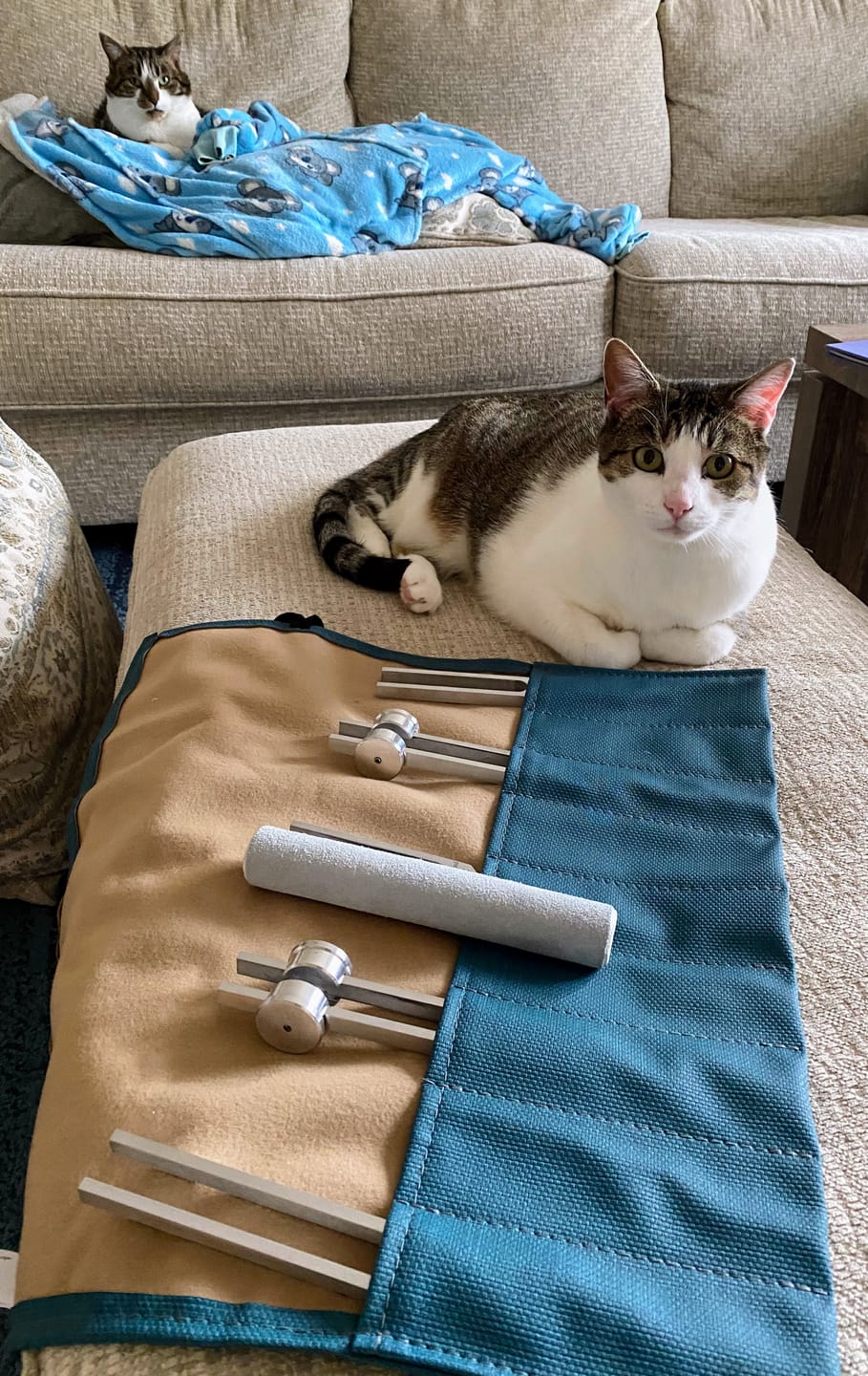 Customer photo review of The Beginners Starter Set - Weighted & Unweighted Combinations