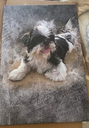 Customer photo review of Foto de tu mascota en estilo acuarela | Regalo para cachorros, perros y gatos