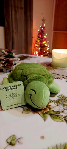 Customer photo review of Turtle Adoption Plushie