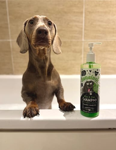 Customer photo review of Aloe & Kiwi Soothing Dog Shampoo