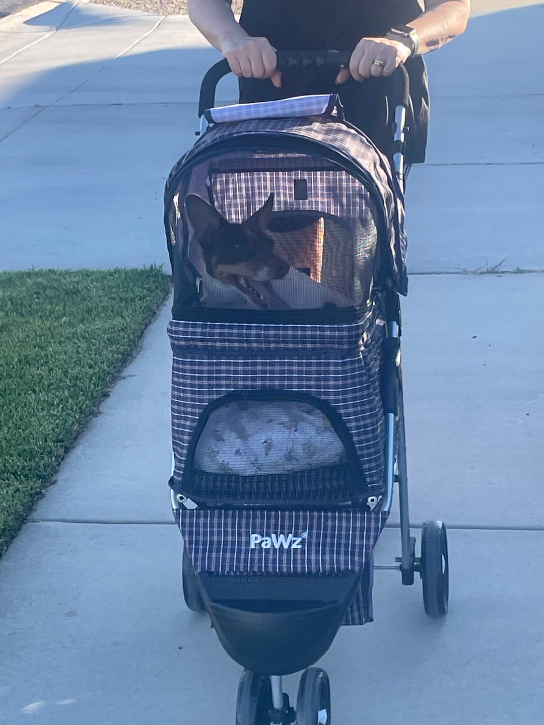 Customer photo review of PaWz Large Dog Stroller - 3 Wheels